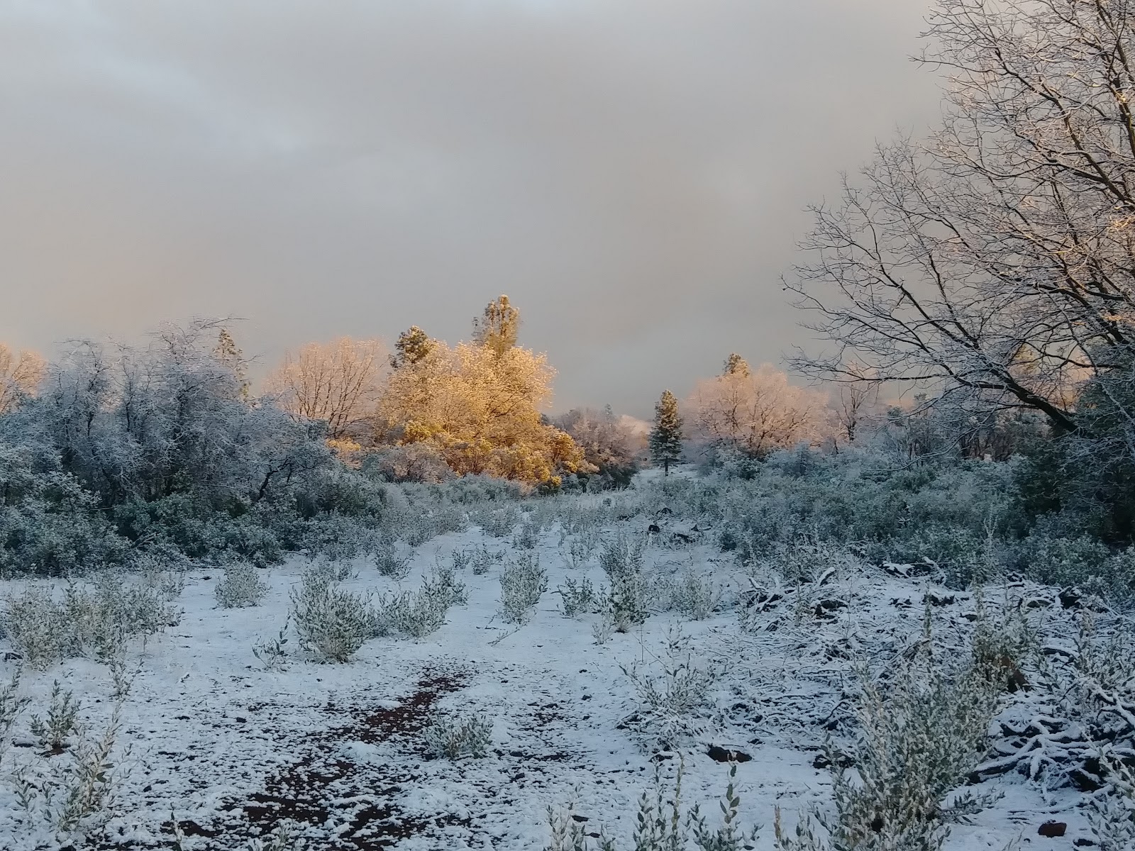 Quail Trails Village