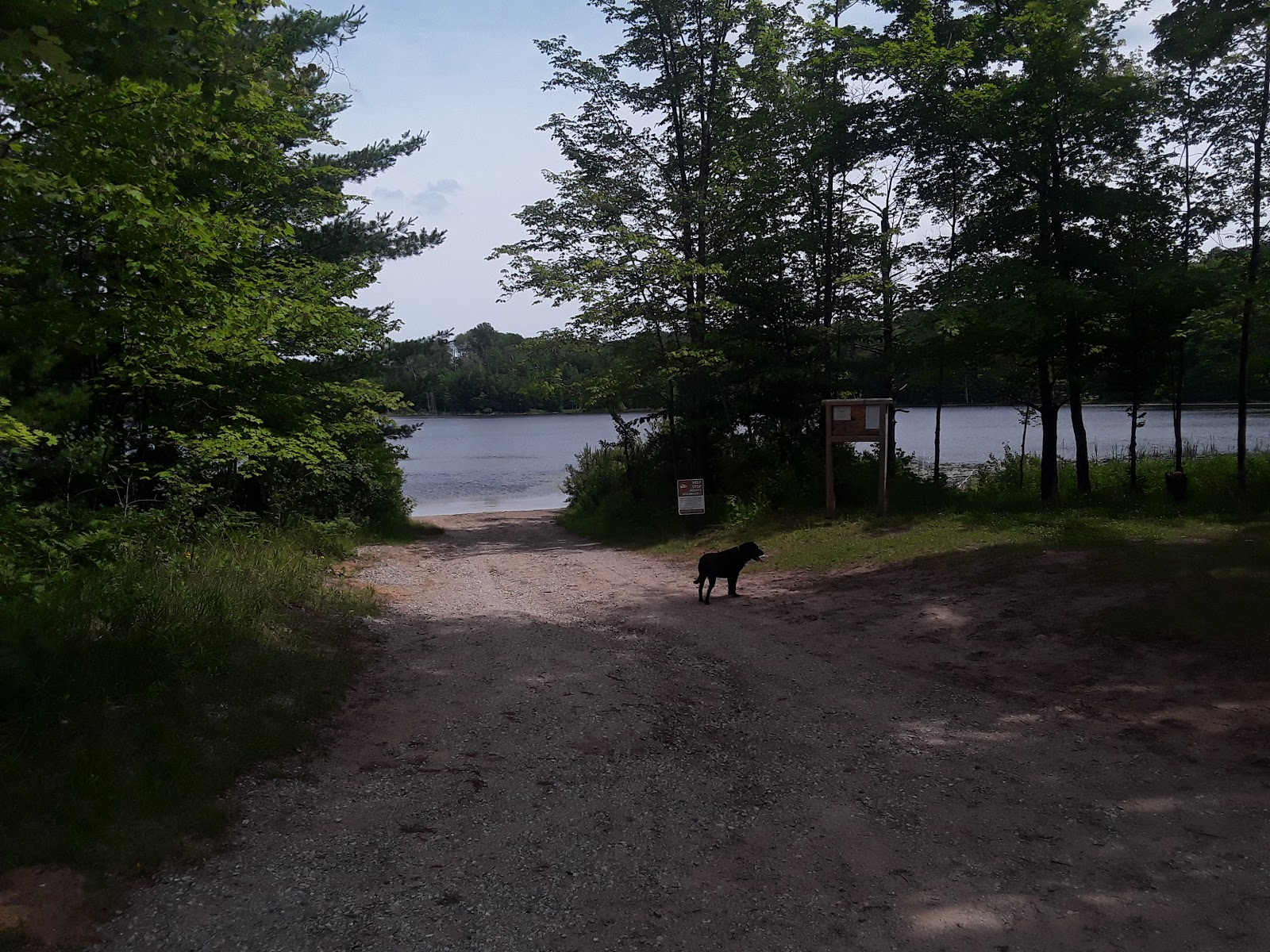 Garey Lake Trail Camp
