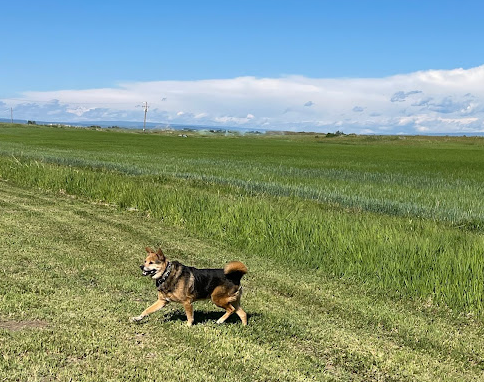 Jolley Camper RV and Cottages