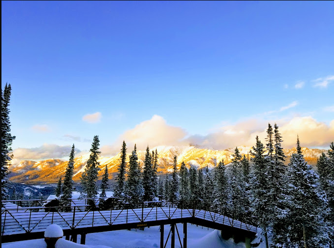 Moonlight Mountain Homes