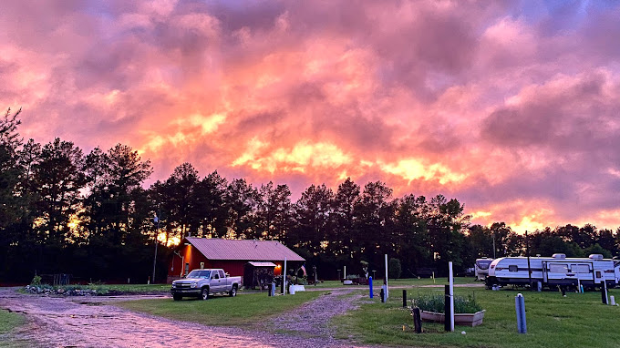 The Trailerhood at Sumrall Farm