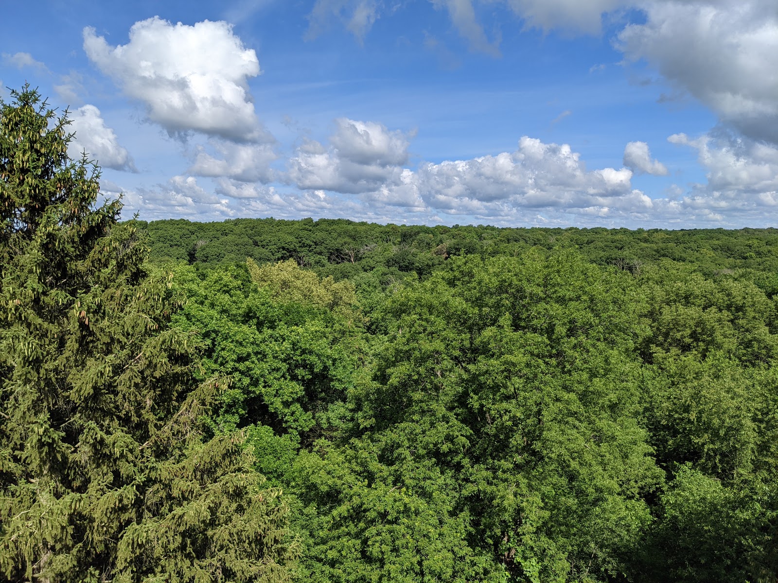 Pinicon Ridge County Park