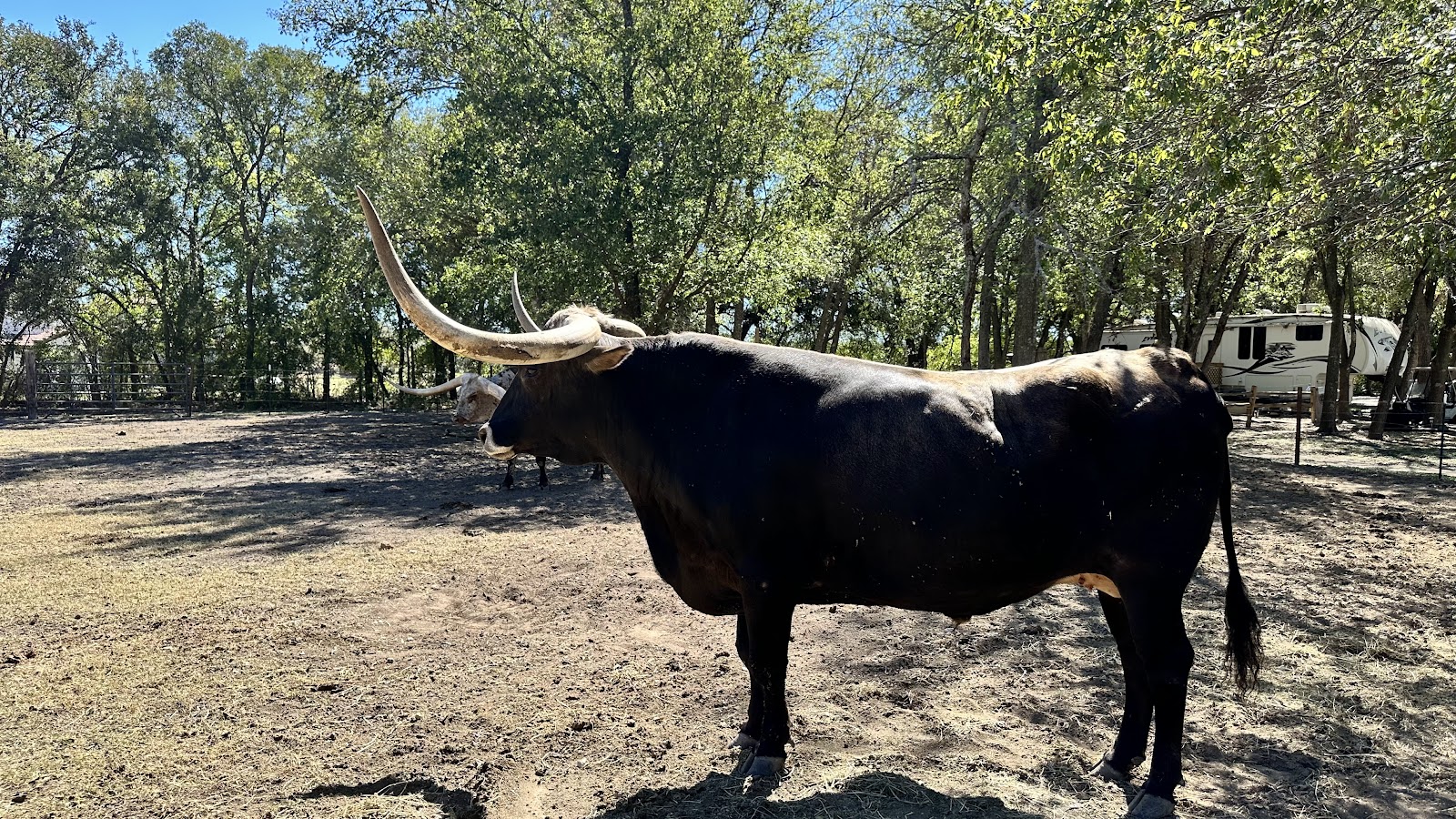 Fredericksburg Texas KOA