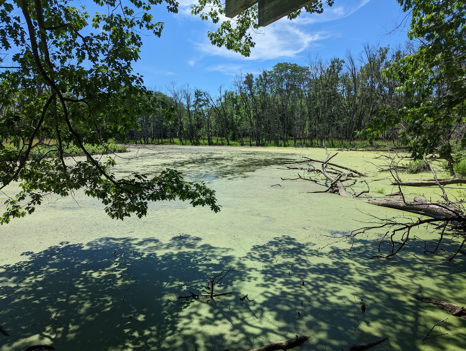 Pecatonica River Forest Preserve