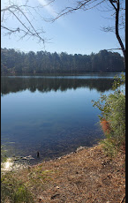 Sandy Bottom Nature Park