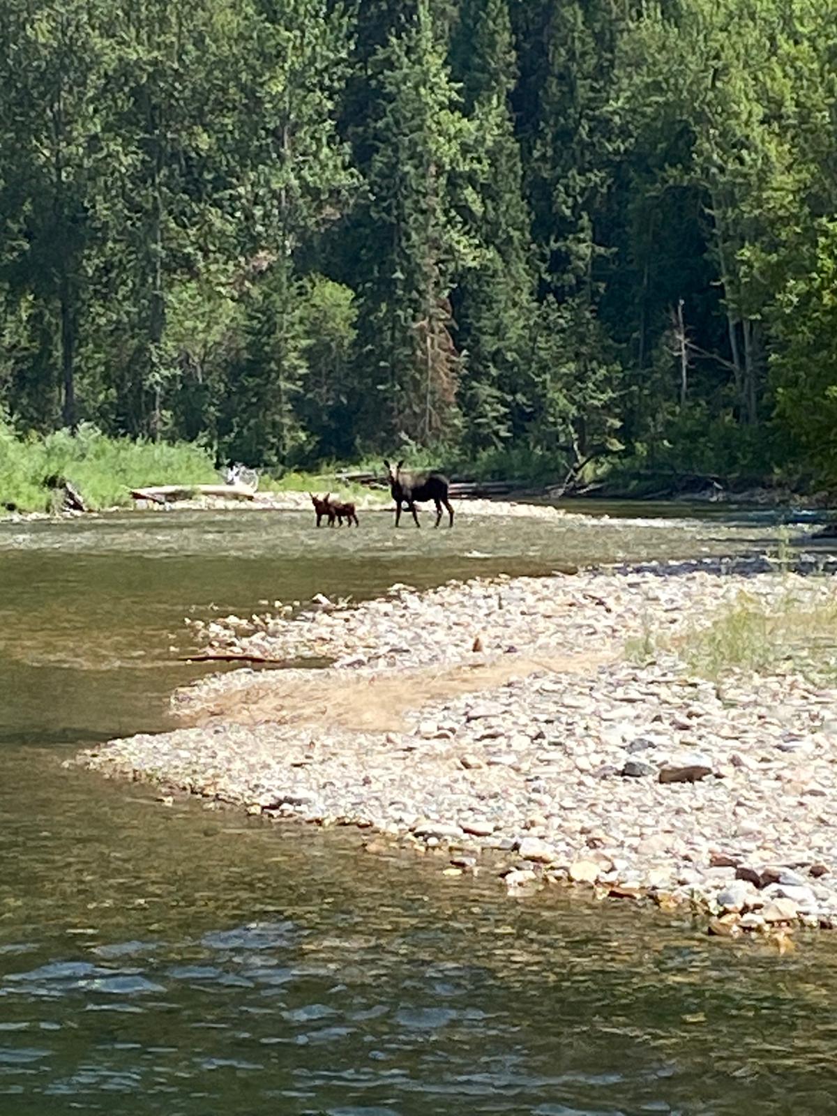 Clearwater Crossing Campground