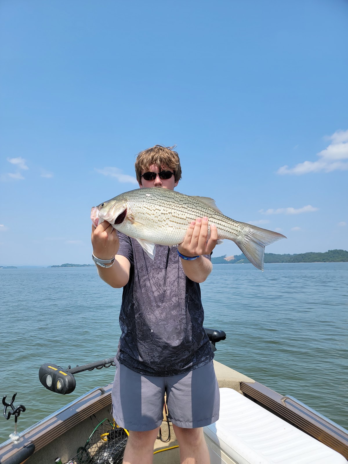 Cherokee Lake Campground