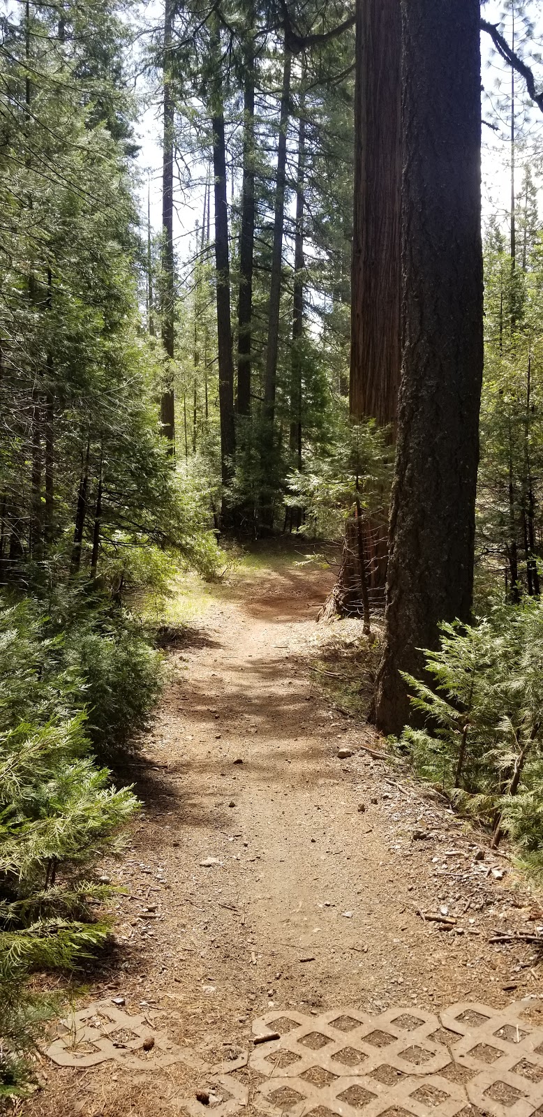 Sugar Pine Staging Campground