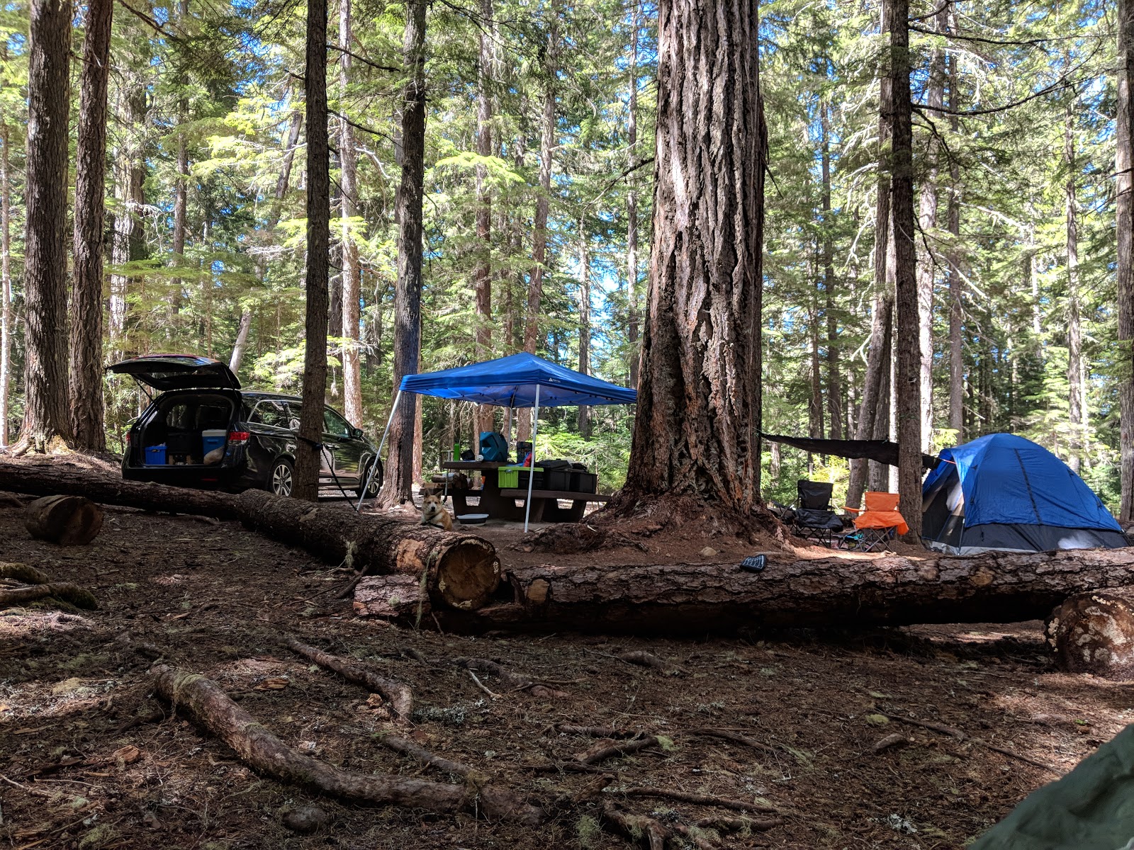 North Arm Campground