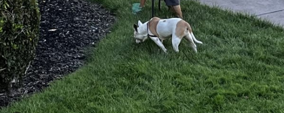 Sunny Acres Mobile Home Park and RV Park