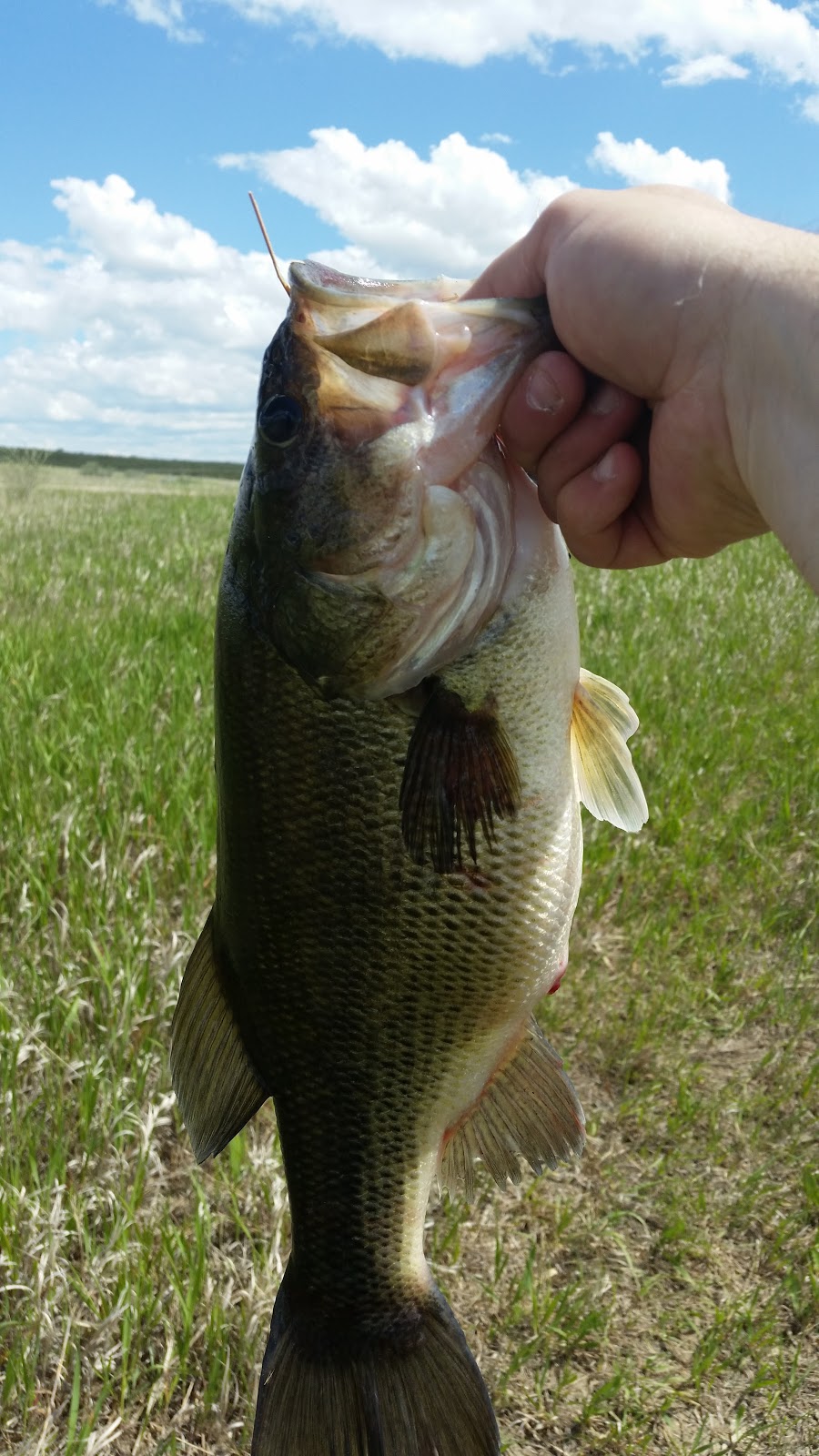 Sather Lake Campground