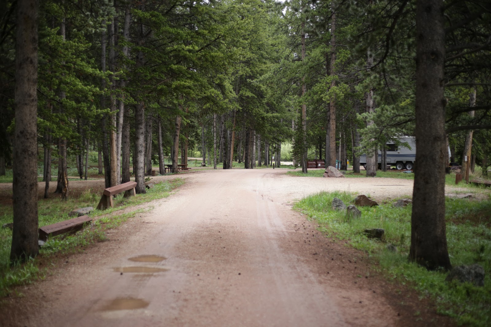 Prune Creek Campground