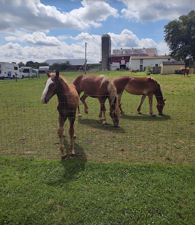 Mill Bridge Village and Camp Resort