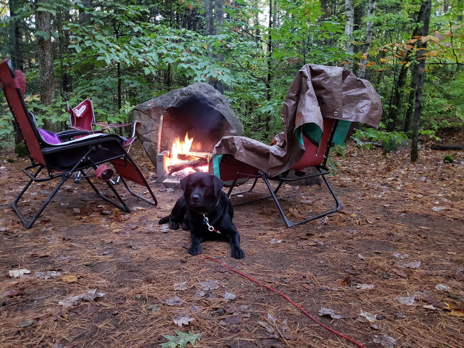 Wolfeboro Campground