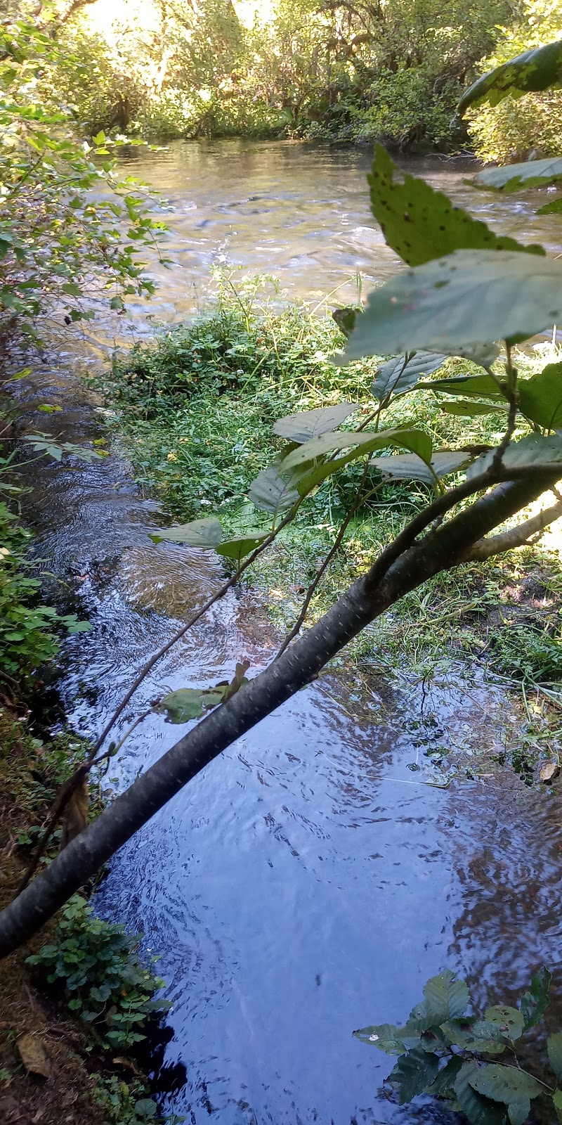 Limberlost Campground