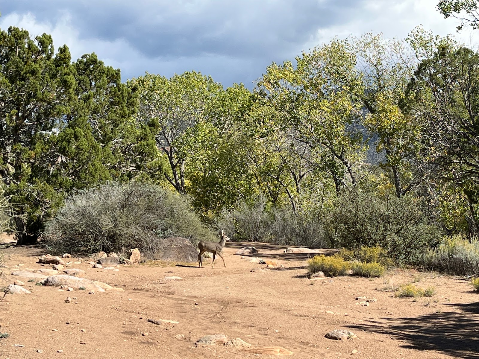 Baker Dam Reservoir Campground