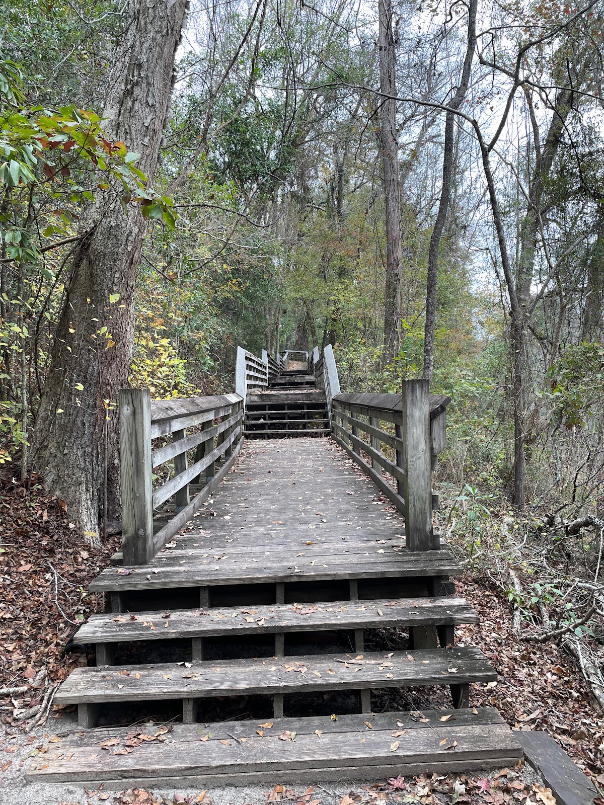 Lumber River State Park