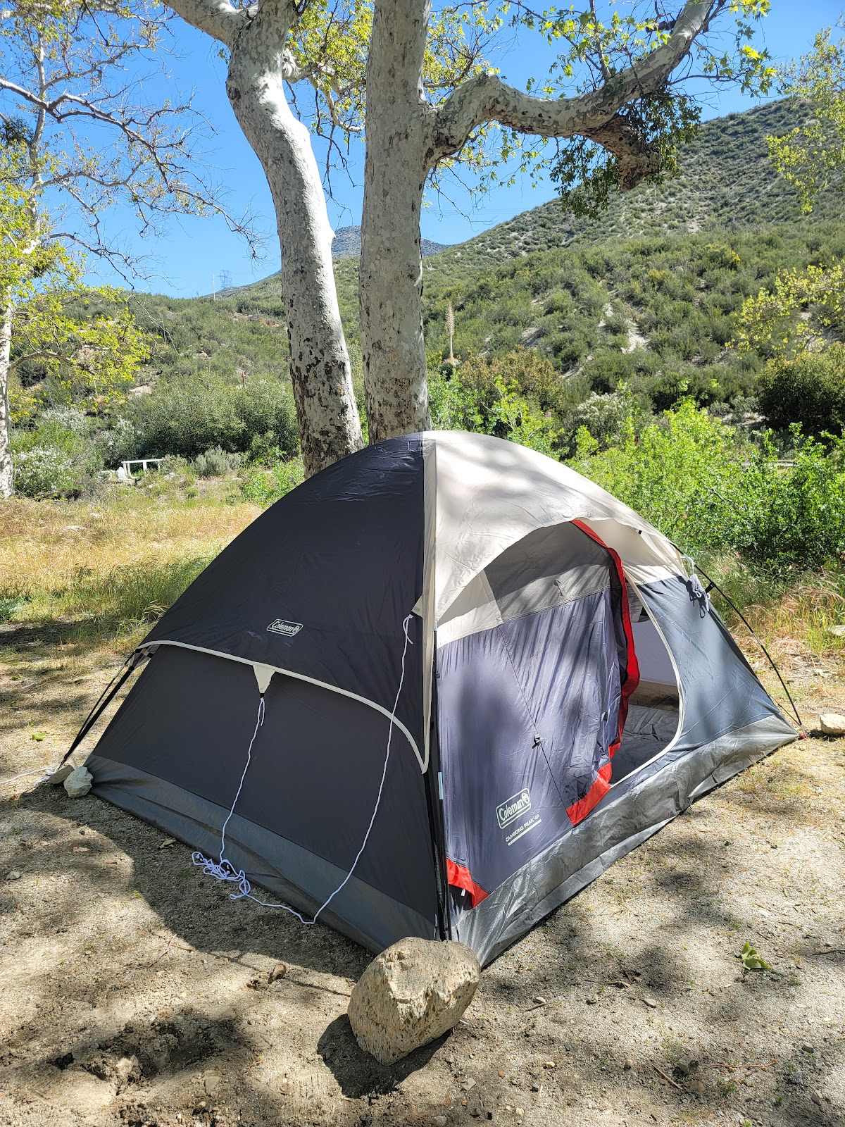 Monte Cristo Campground