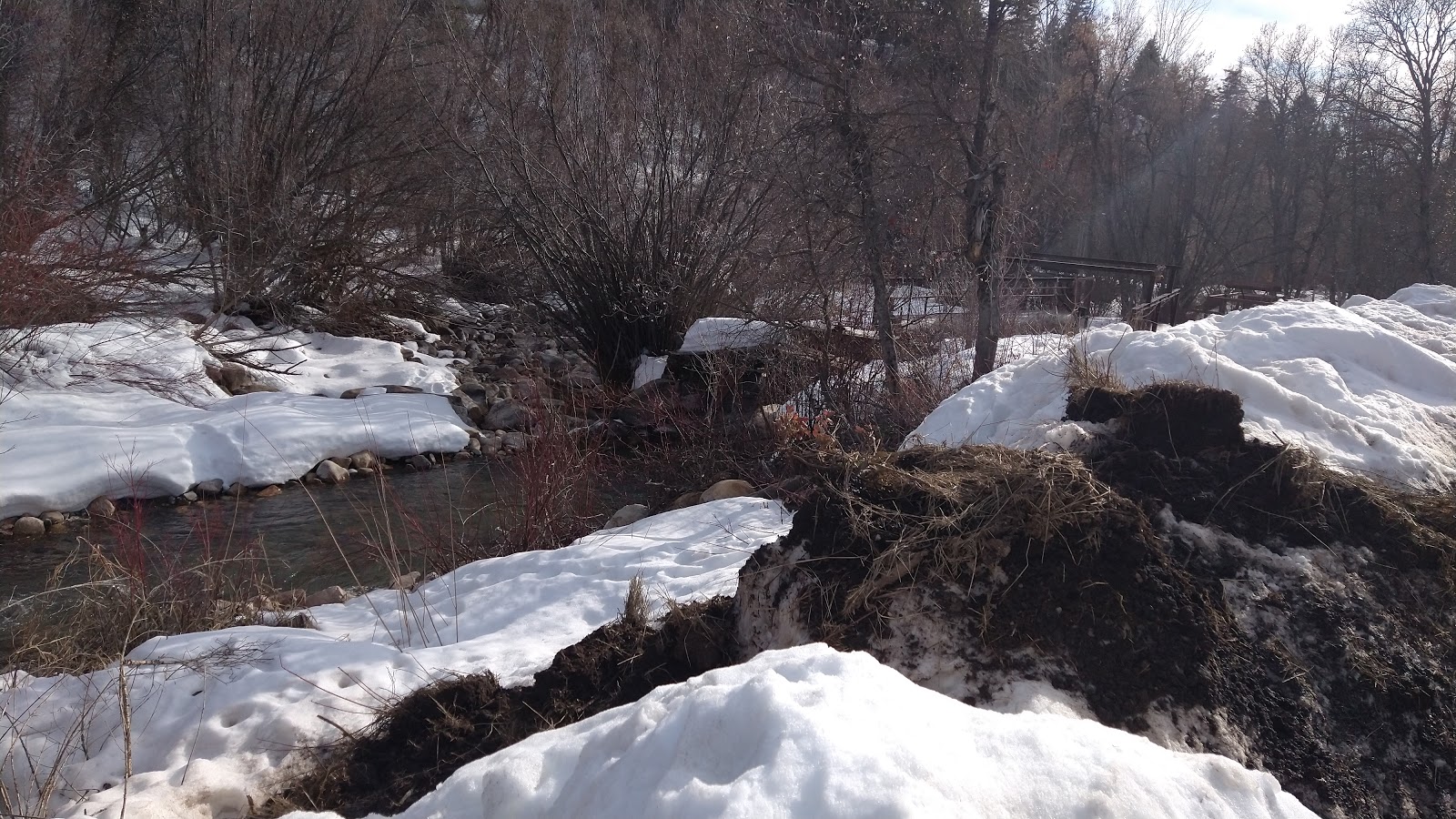 Albert Moser Campground