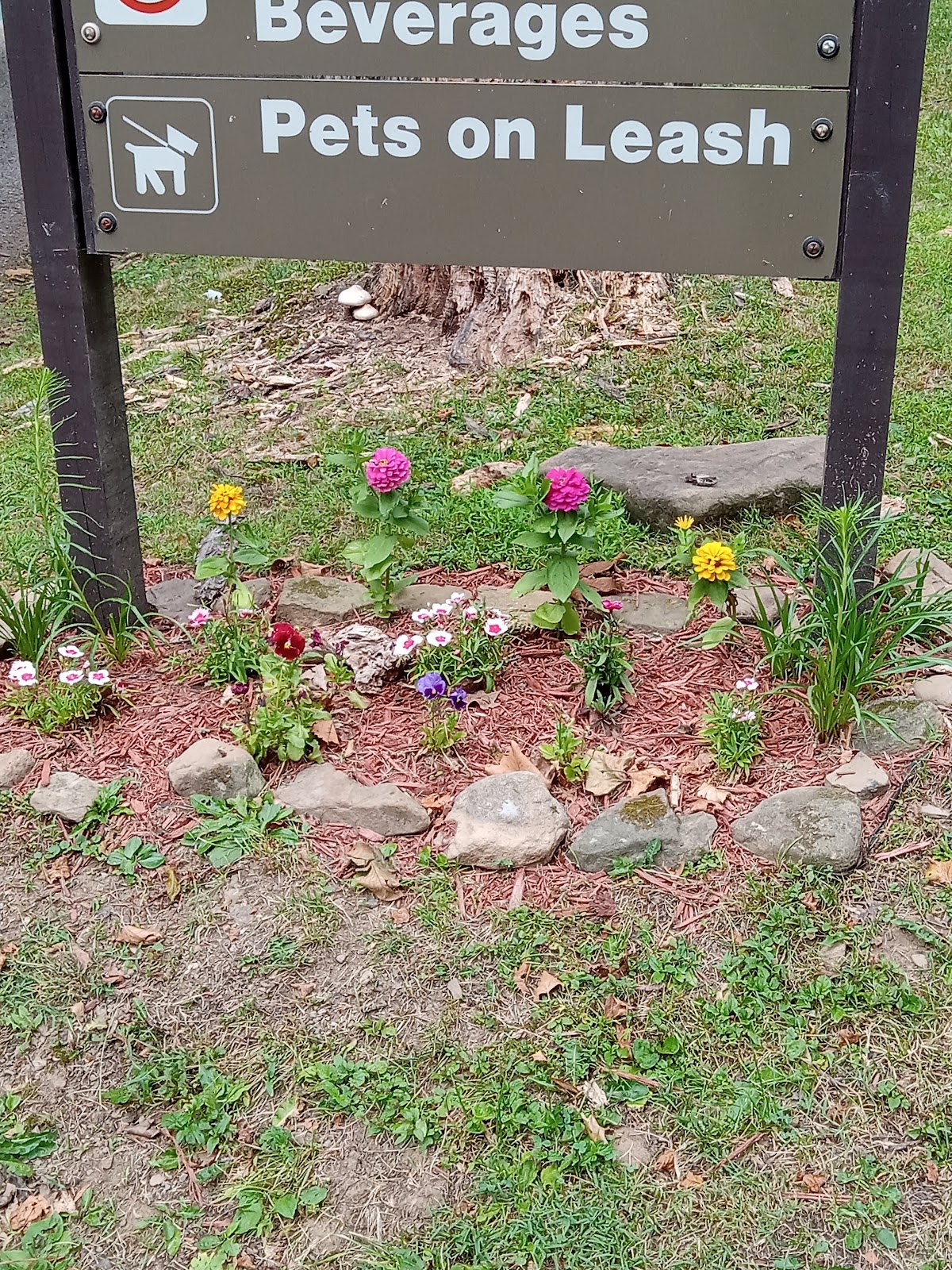 Mill Run Recreation Area