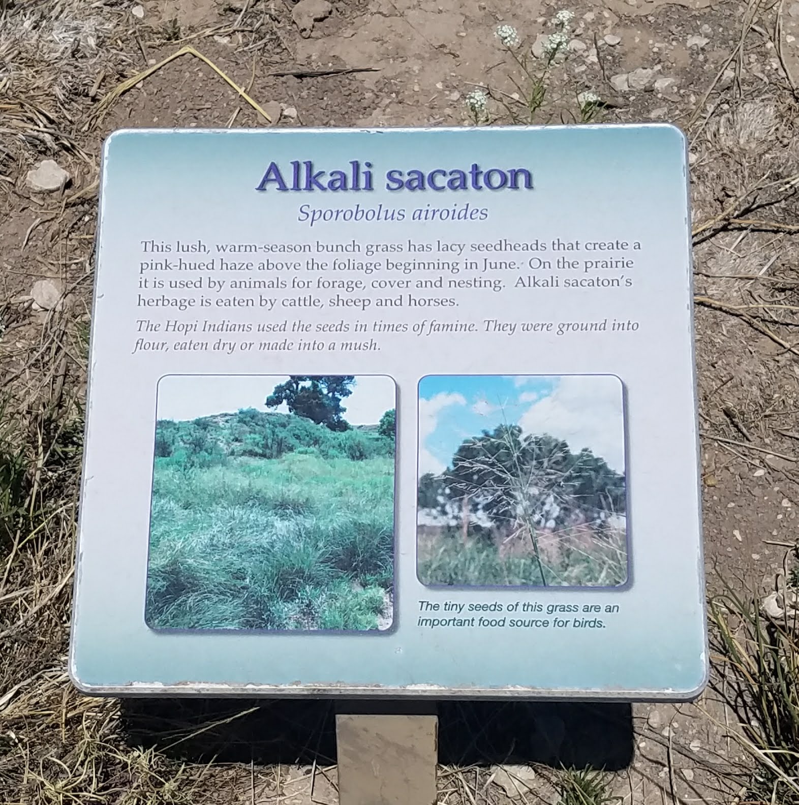 Black River Recreation Area