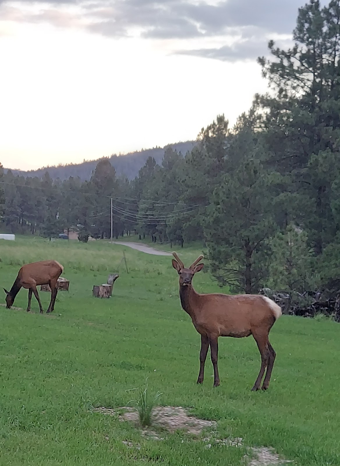 Scenic Canyon RV Park