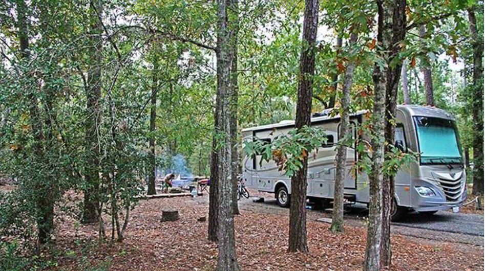 Lake Livingston State Park