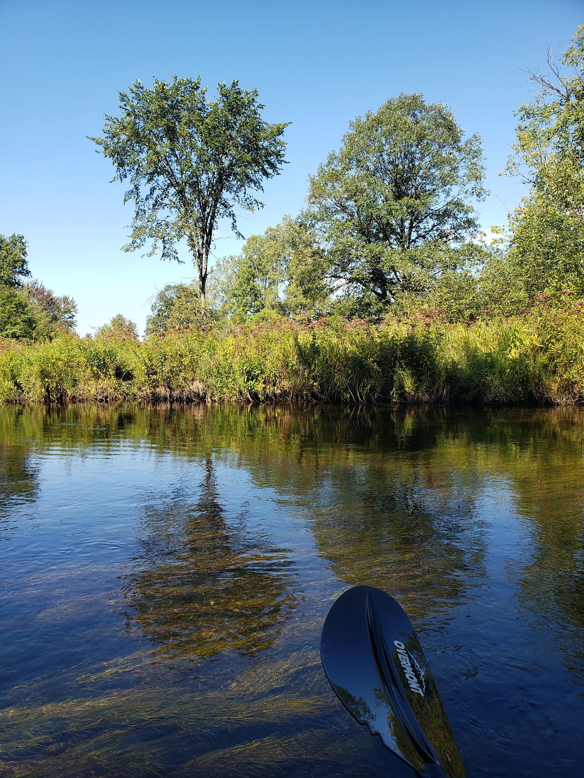 Twin Pine Campground & Canoe