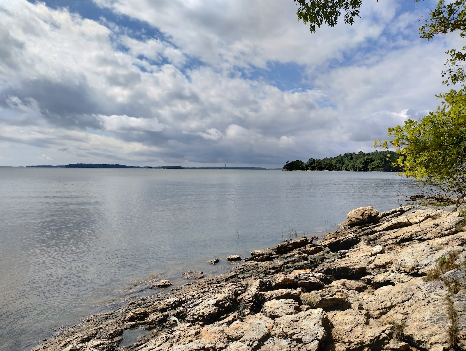 Recompence Shore Campsites