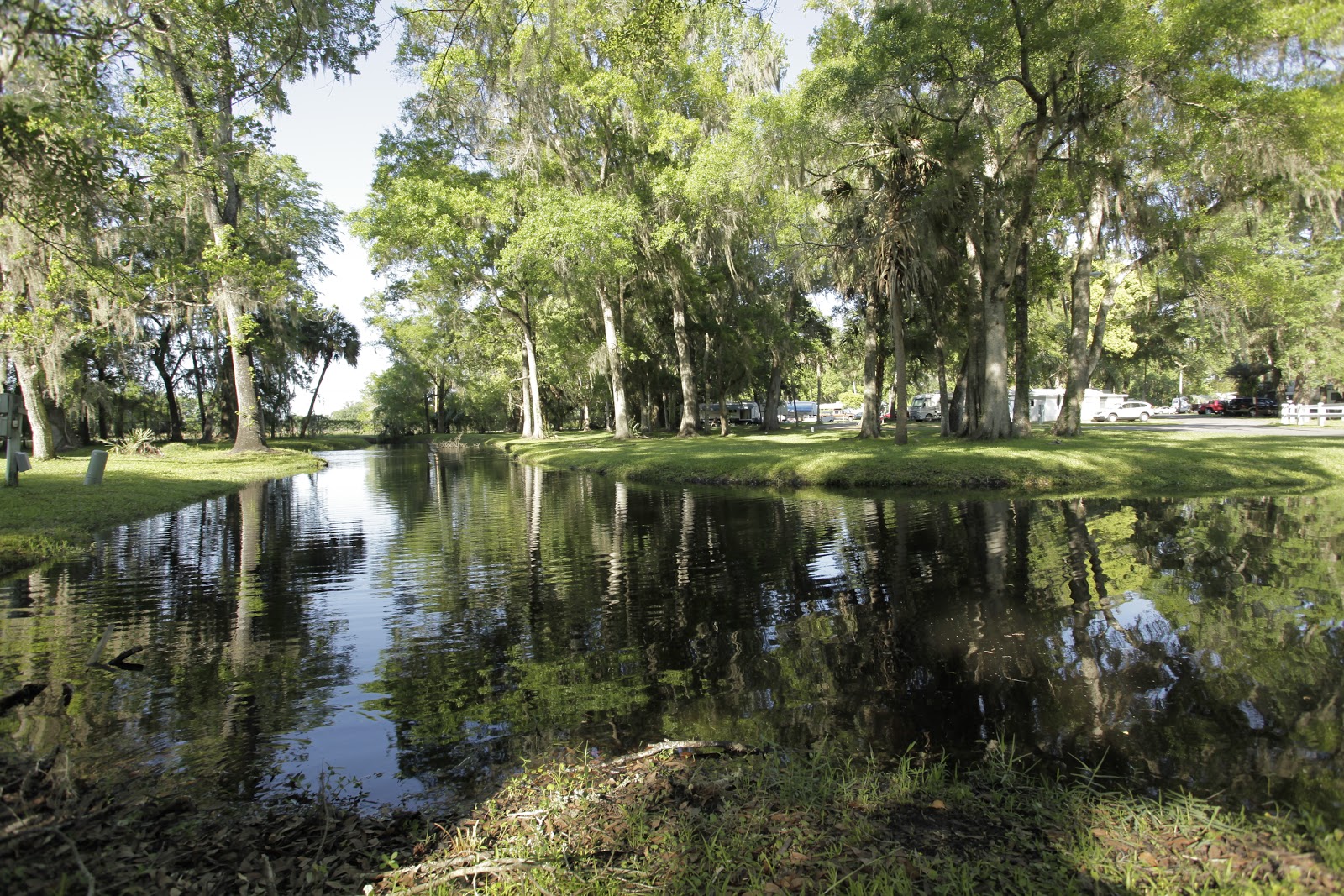 Clover Leaf Forest RV Resort