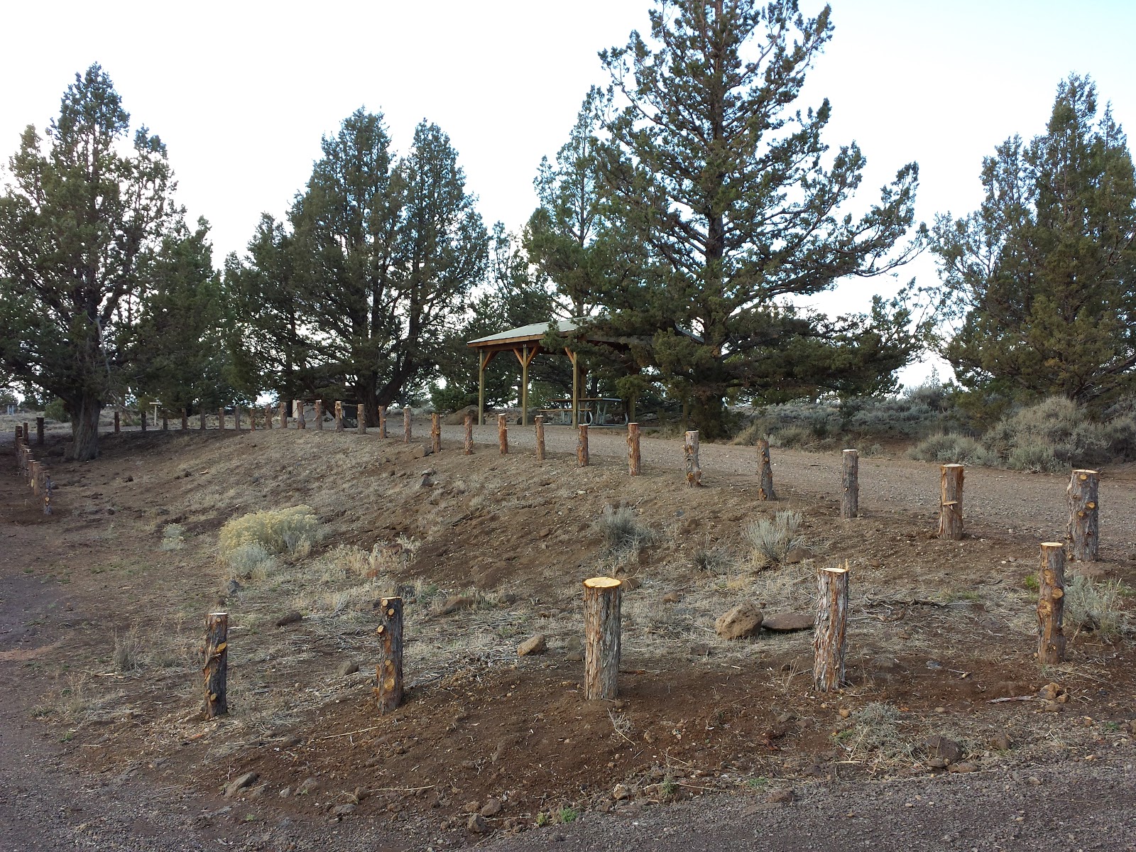 Bunyard Crossing Forest Camp Campground