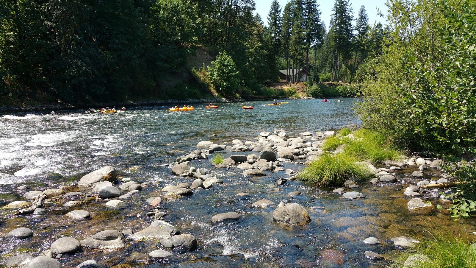 Fishermans Bend Rec Site