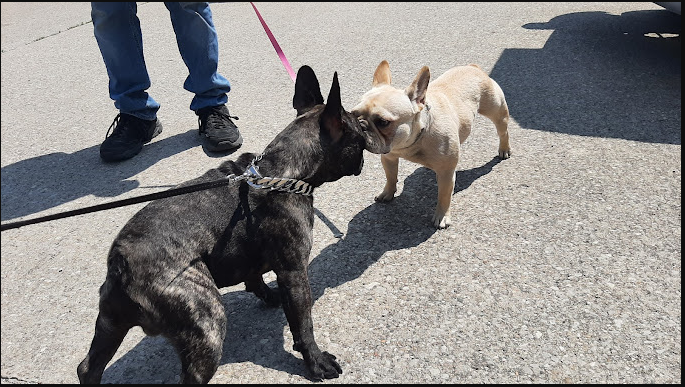 Ottumwa Park Campground