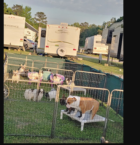 Rendezvous Station Campground