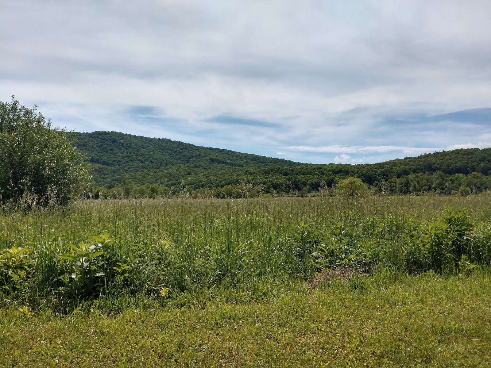 Hidden Valley Recreation Trailhead