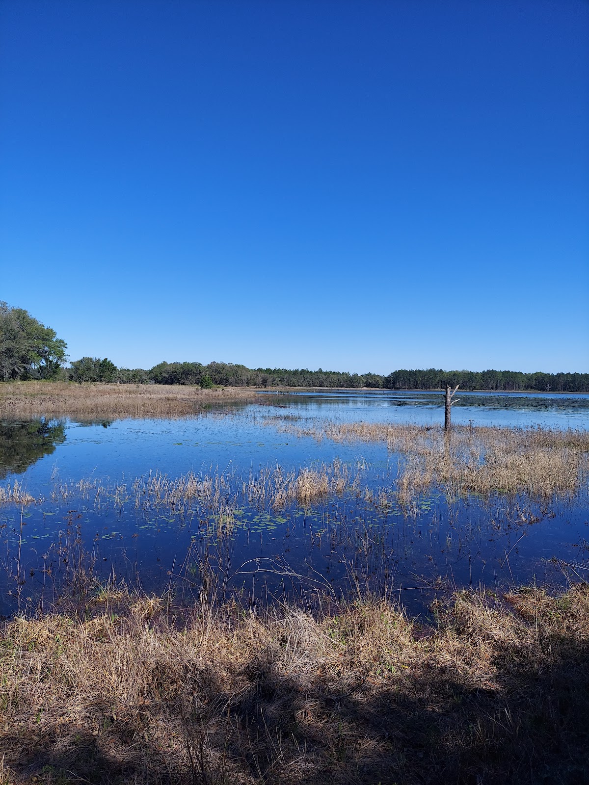Watermelon Pond North Trailhead