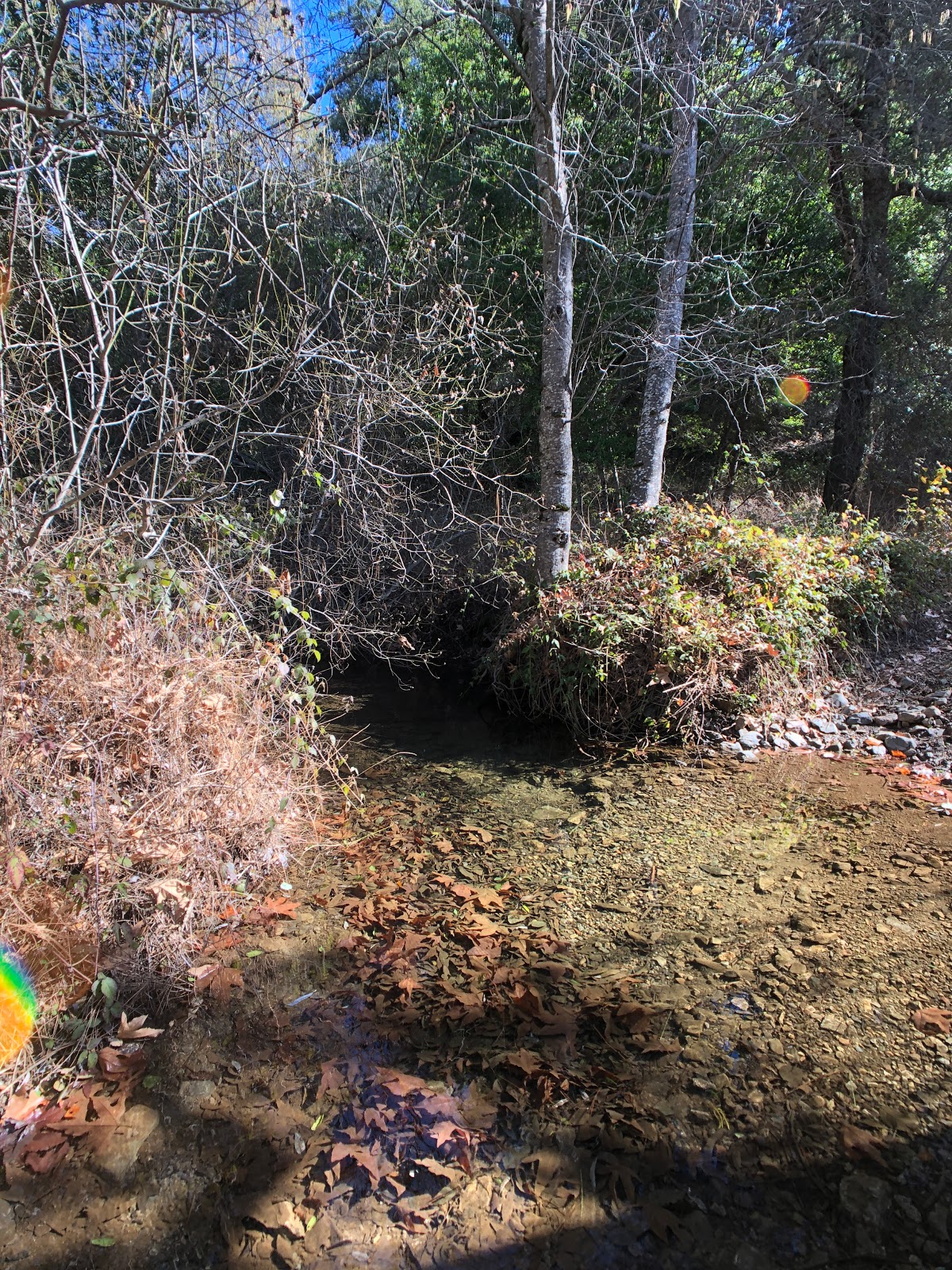 Alder Creek Campground