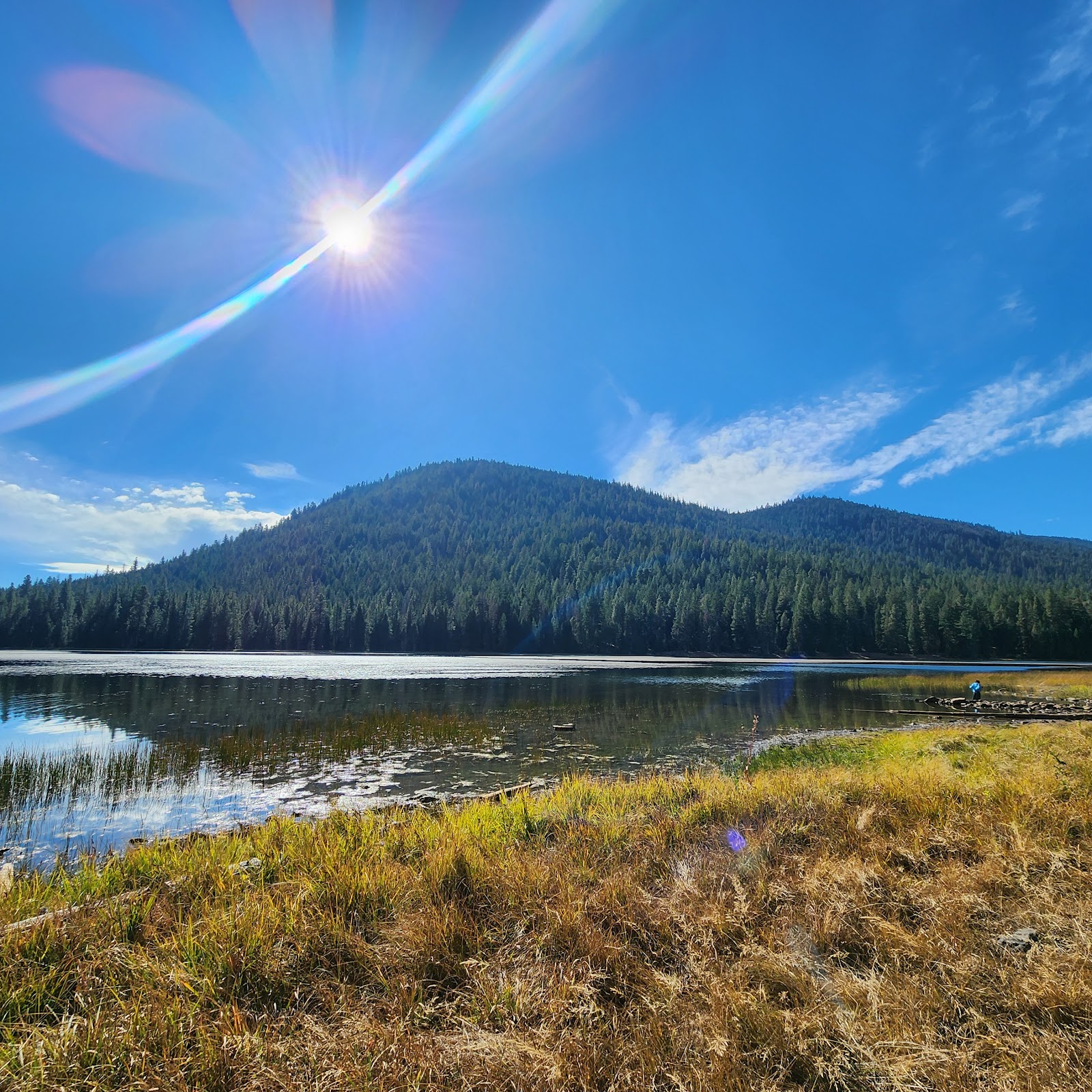 Juanita Lake Group Campsite