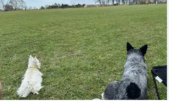 Garden RV Park & Campground