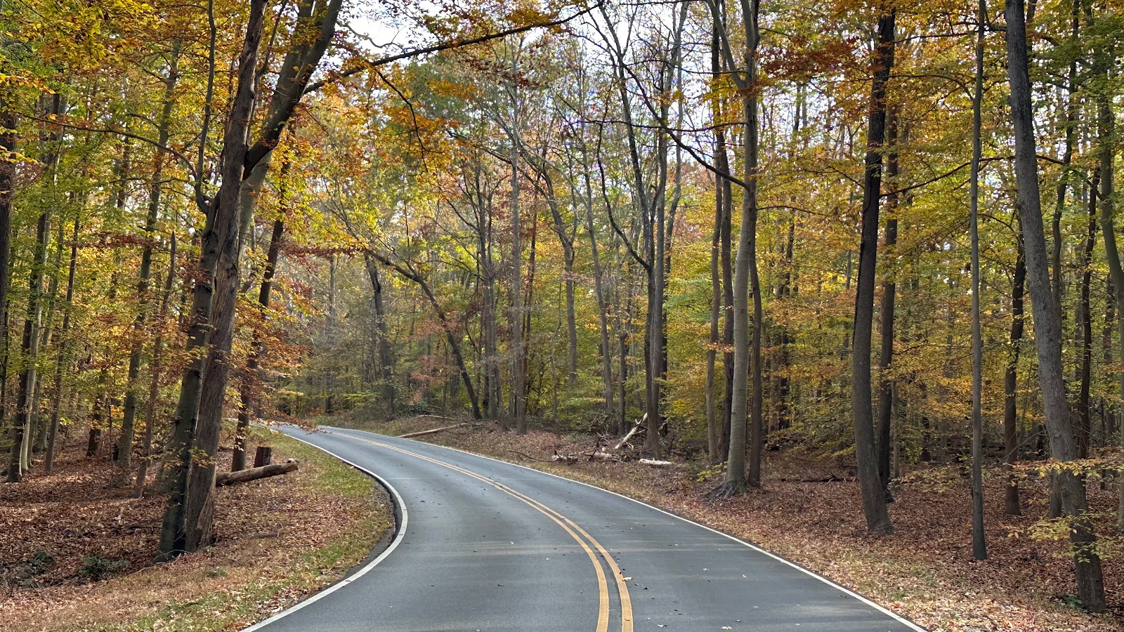 Greenbelt Park Campground