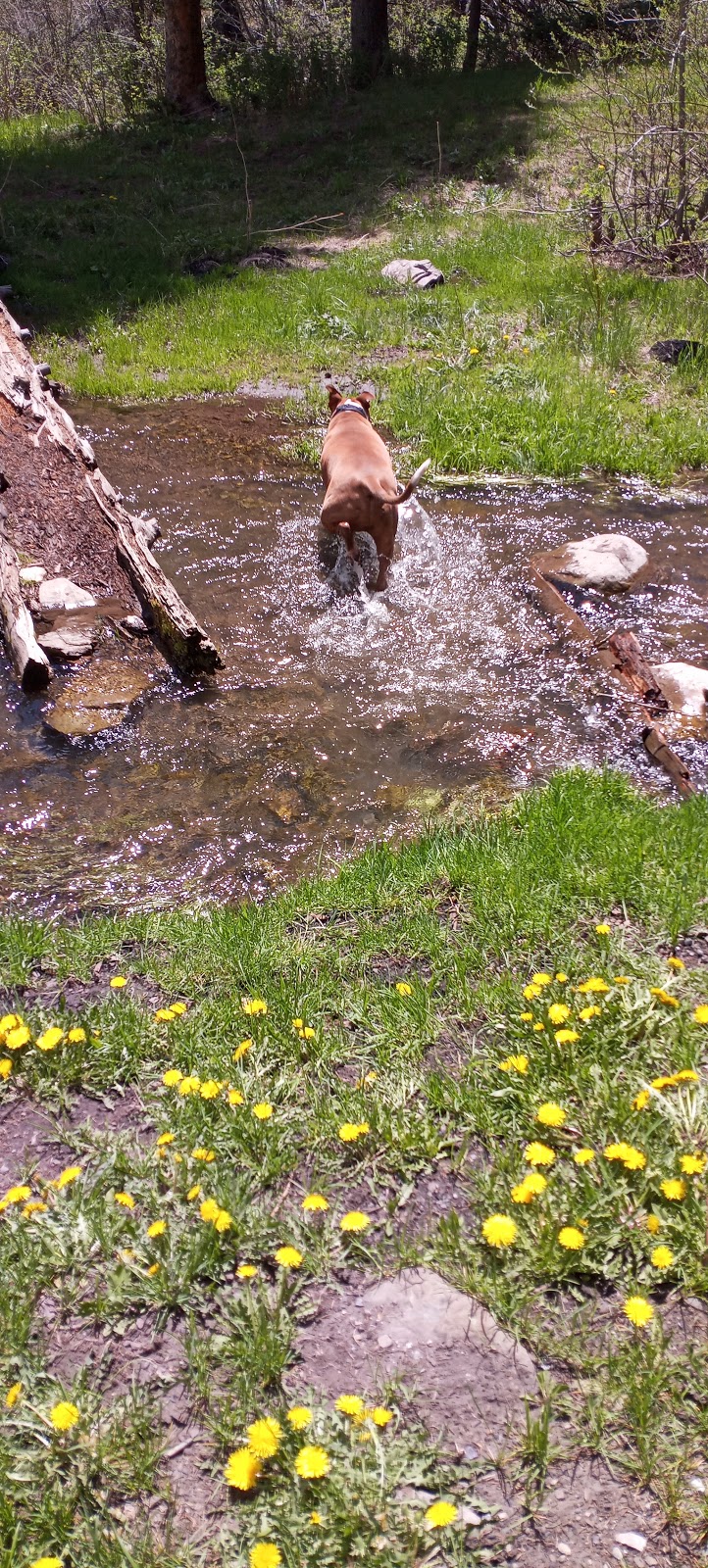Upper La Junta Campground