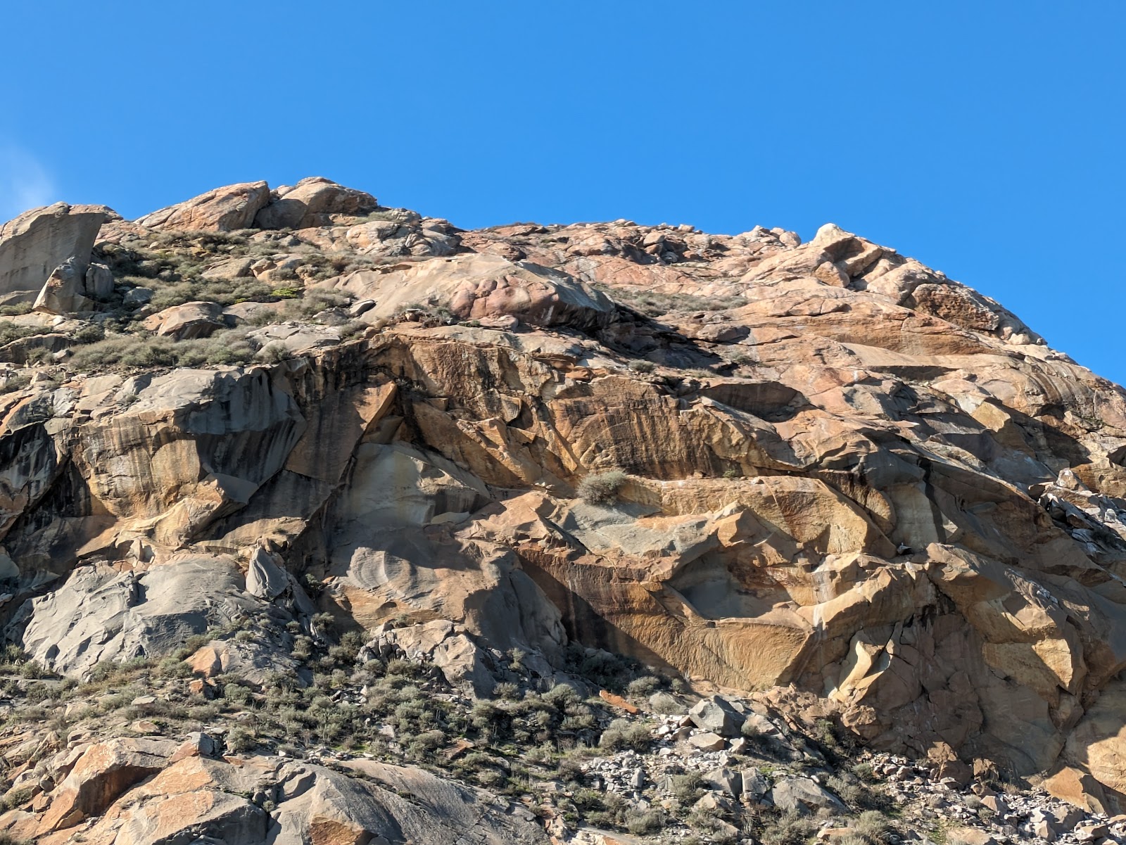 Morro Bay State Park