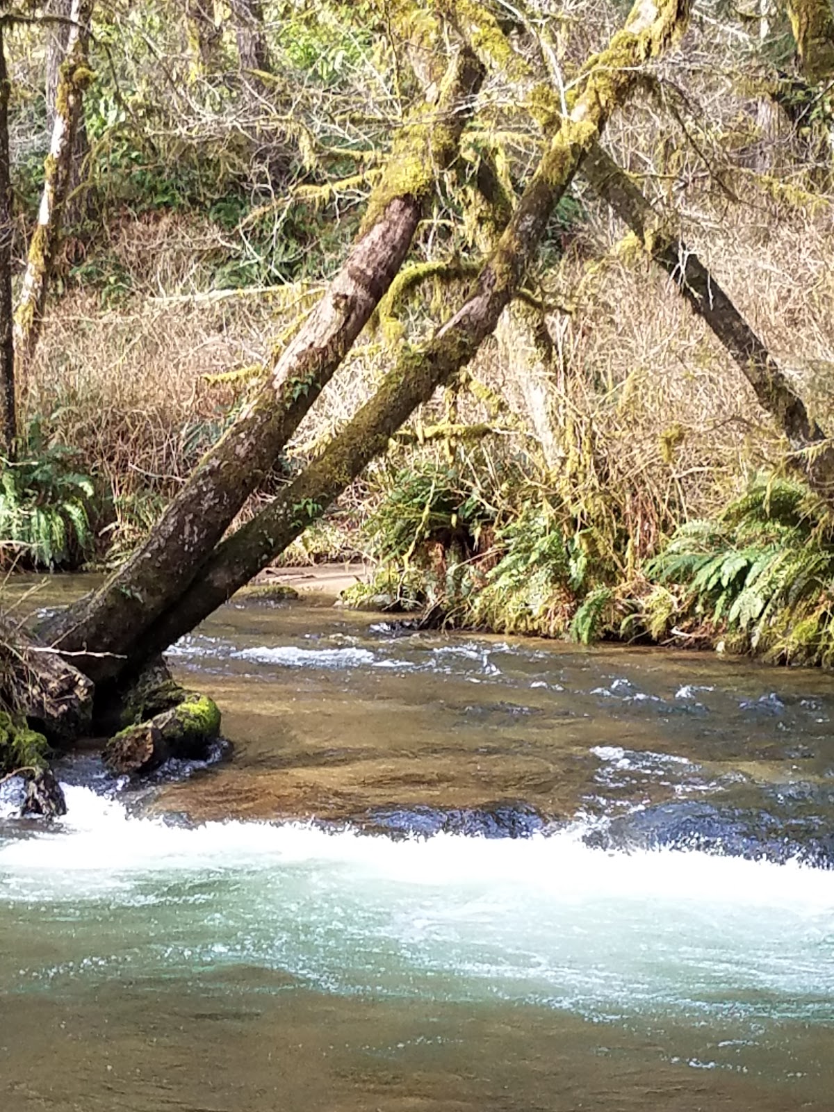 Canal Creek Group Campground