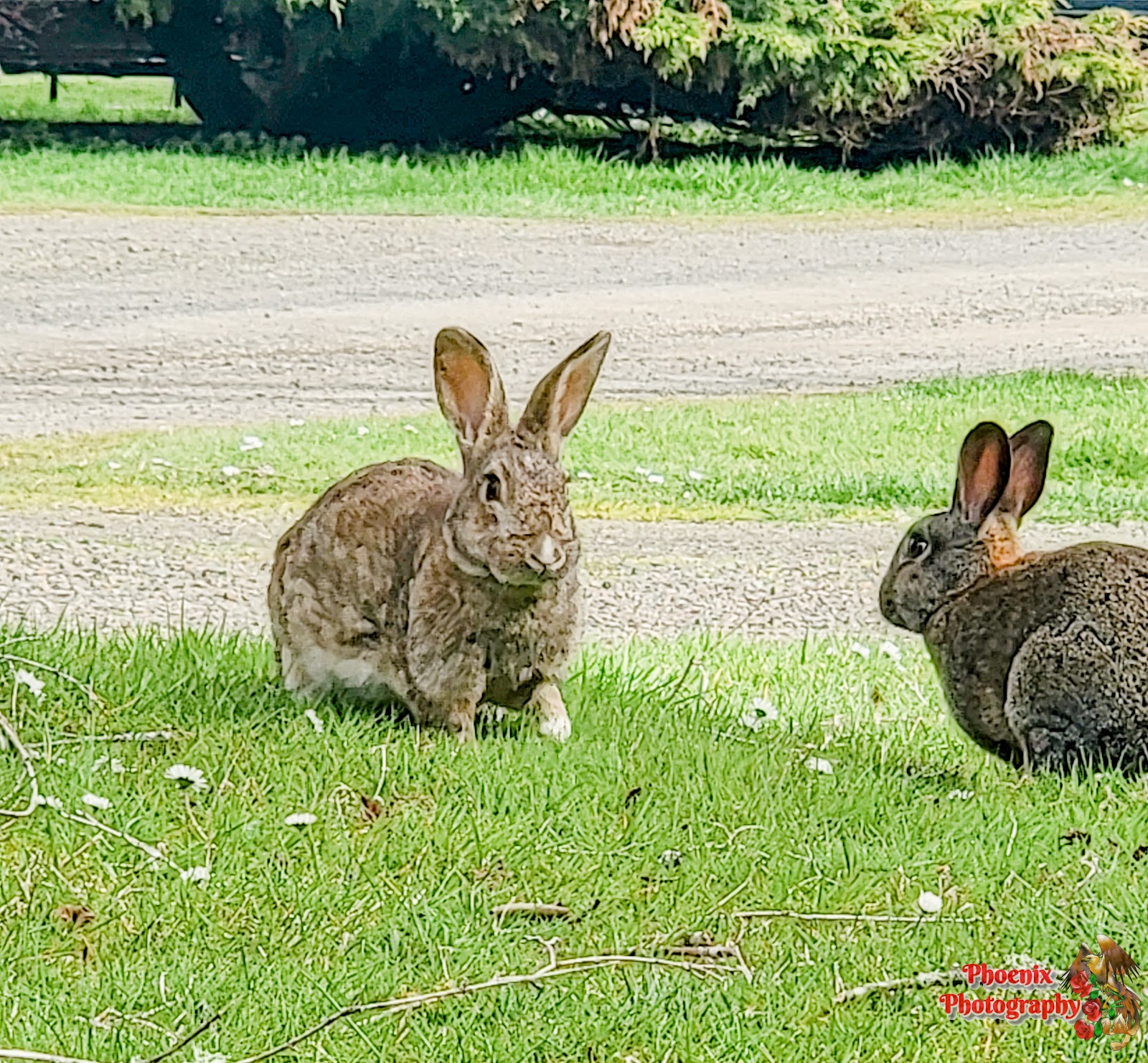 Neskowin Creek RV Resort