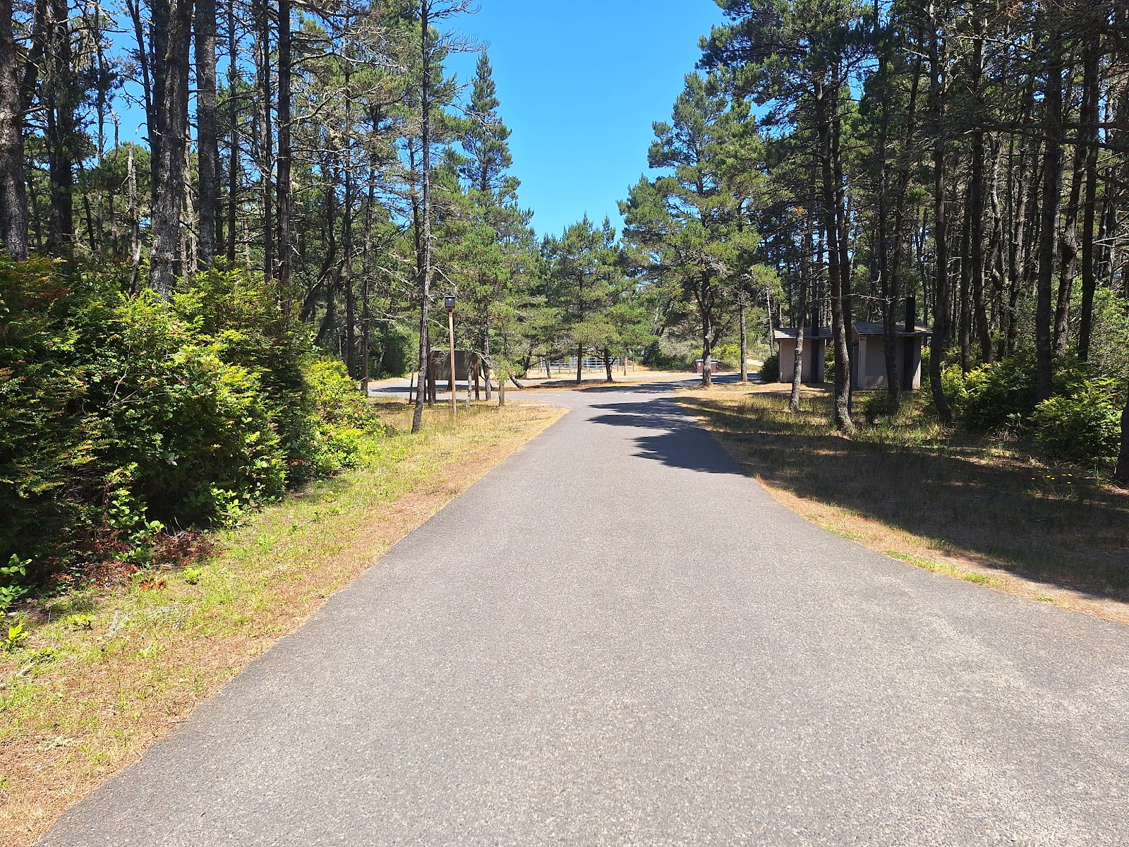 Wild Mare Campground