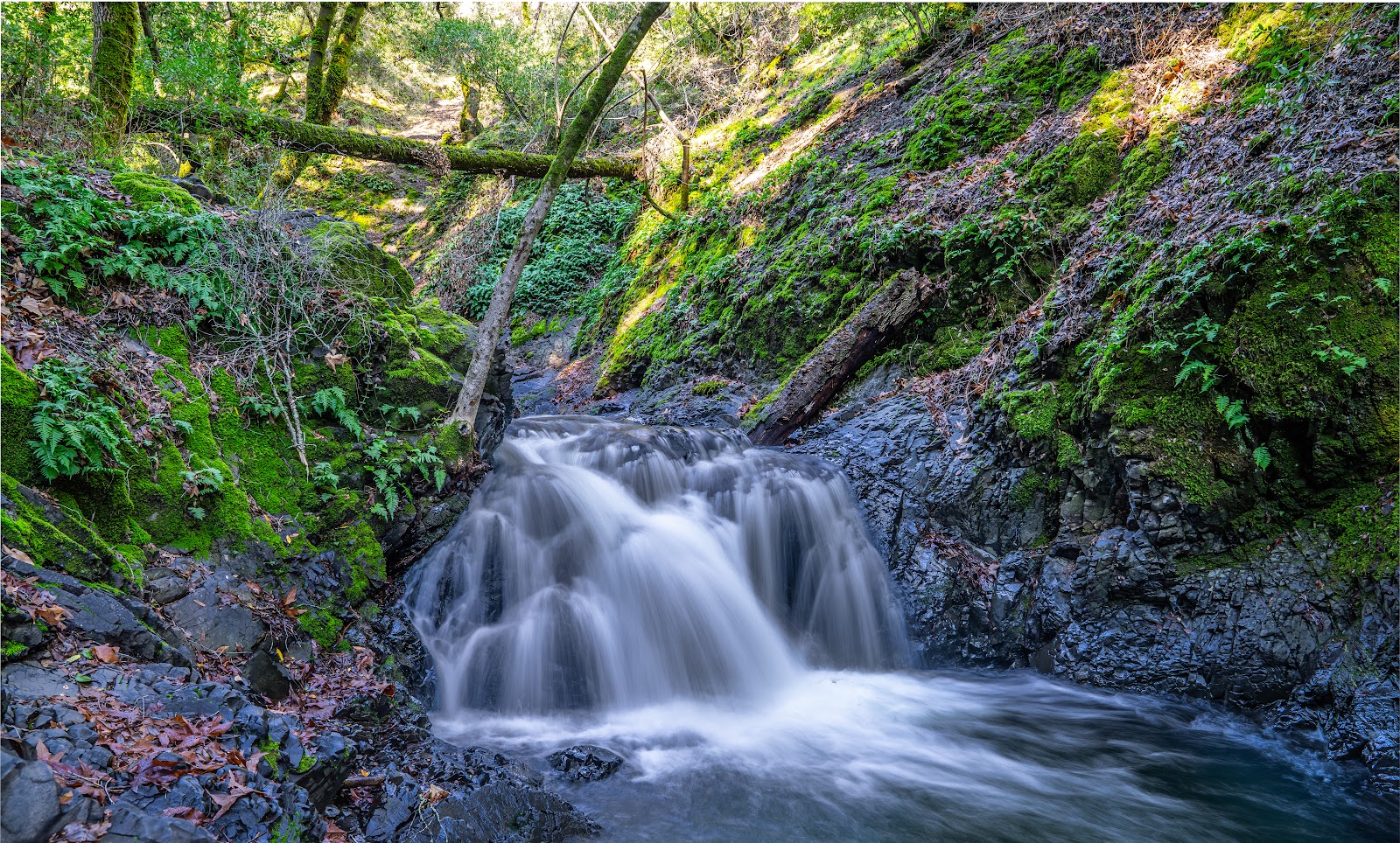 Uvas Canyon County Park