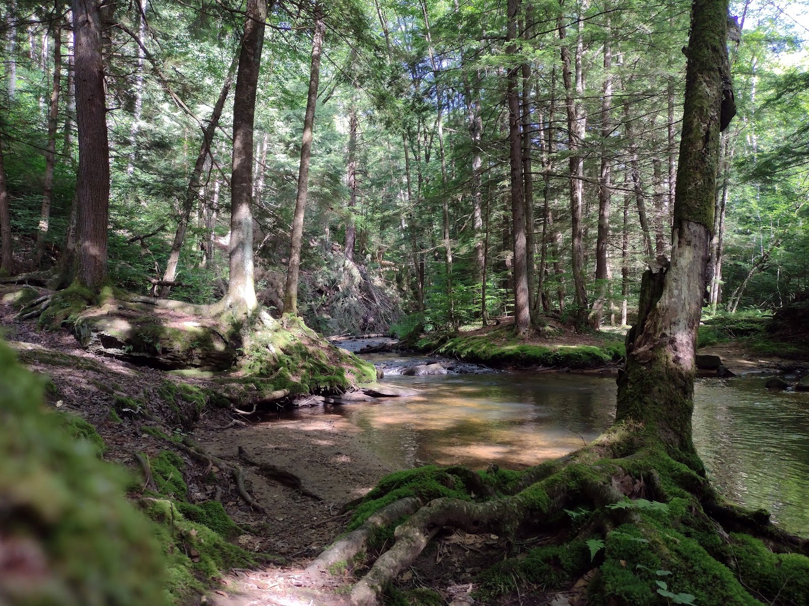 Minister Creek Campground