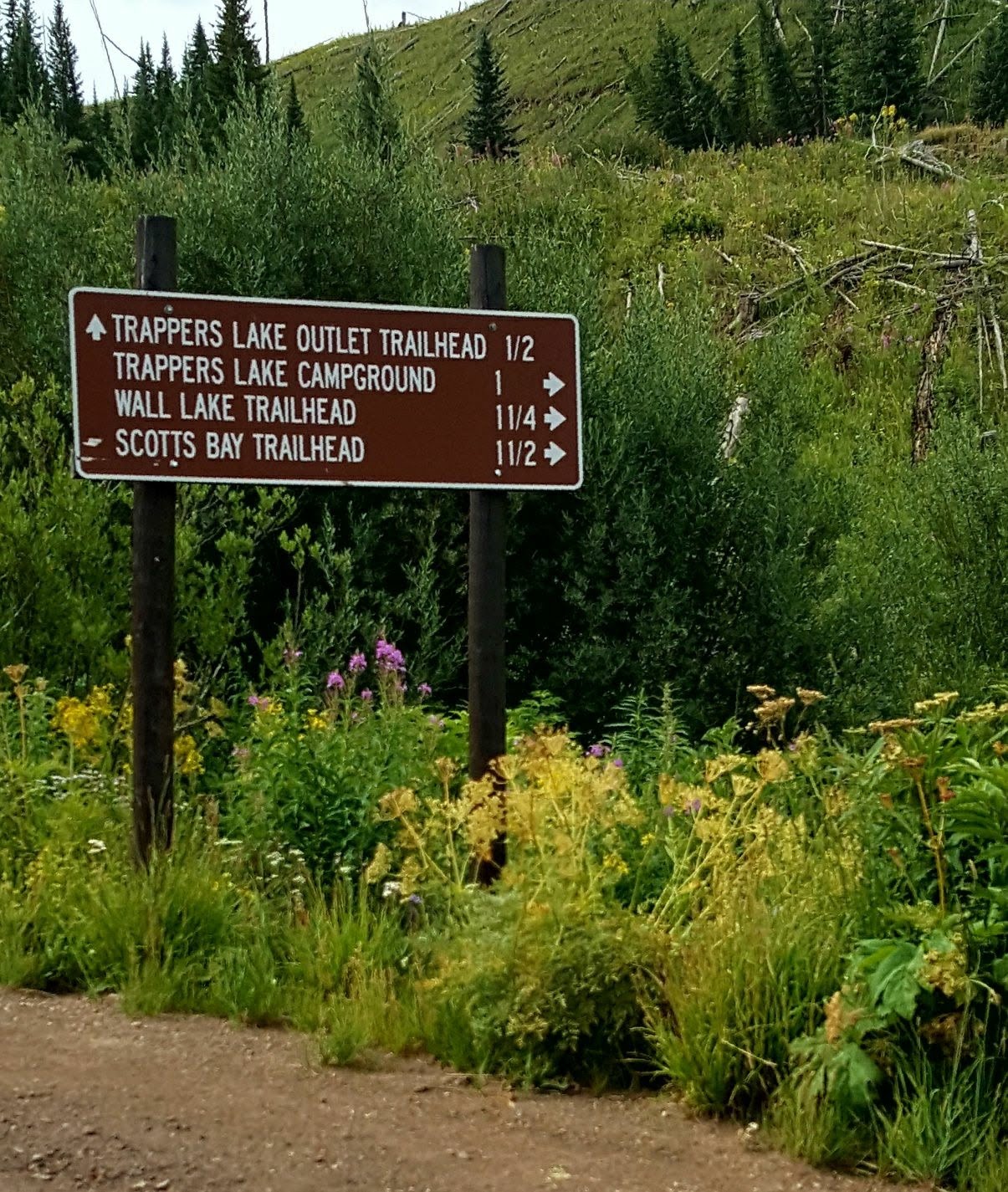 Himes Peak Campground