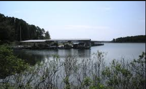 Puddin' Ridge Farm & Country Cabins