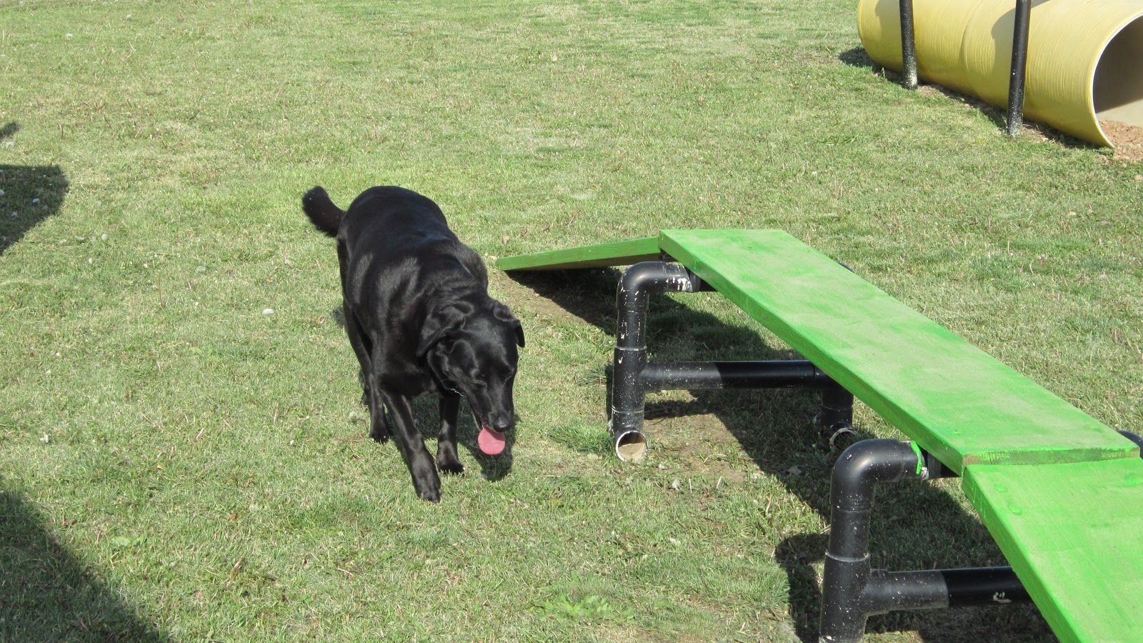 Belvidere East / Exit 170 KOA Journey